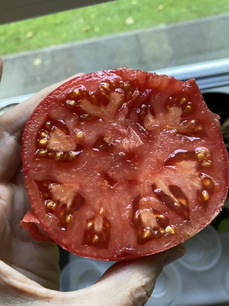 Aunt Lou‘s Underground Railroad